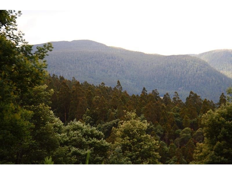 410 Cloverside Road, Lucaston TAS 7109