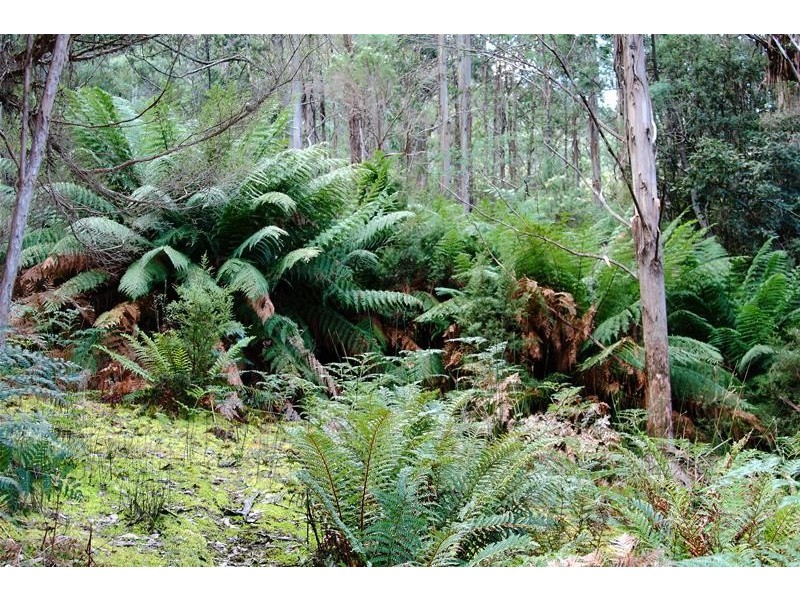 410 Cloverside Road, Lucaston TAS 7109