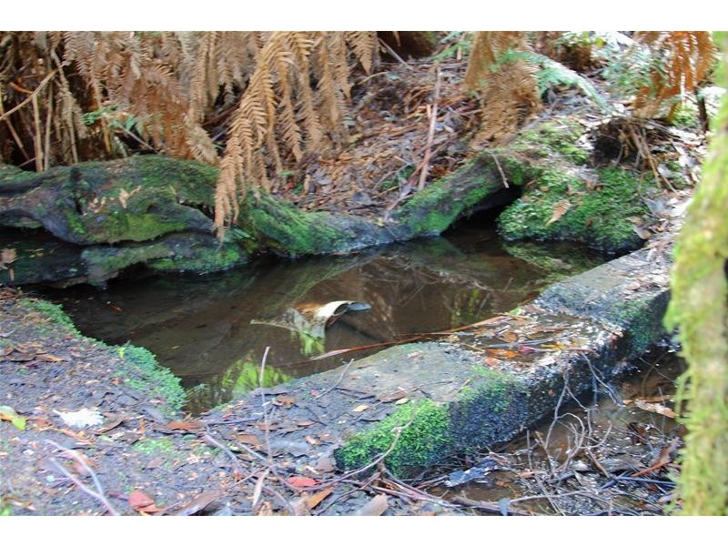 410 Cloverside Road, Lucaston TAS 7109