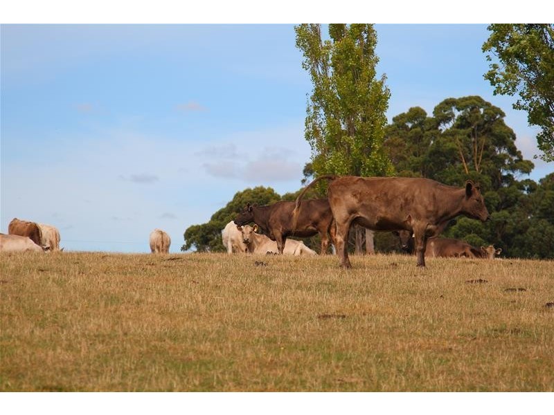 285 Braeside Road, Franklin TAS 7113