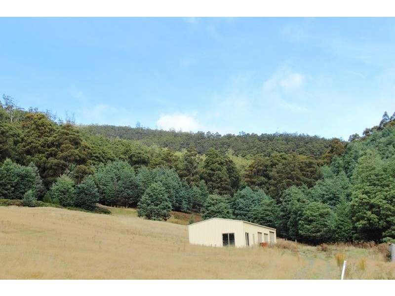 54 Tunbridge Road, Glen Huon TAS 7109
