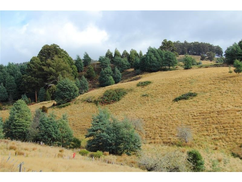 54 Tunbridge Road, Glen Huon TAS 7109