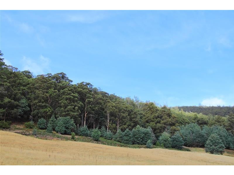 54 Tunbridge Road, Glen Huon TAS 7109