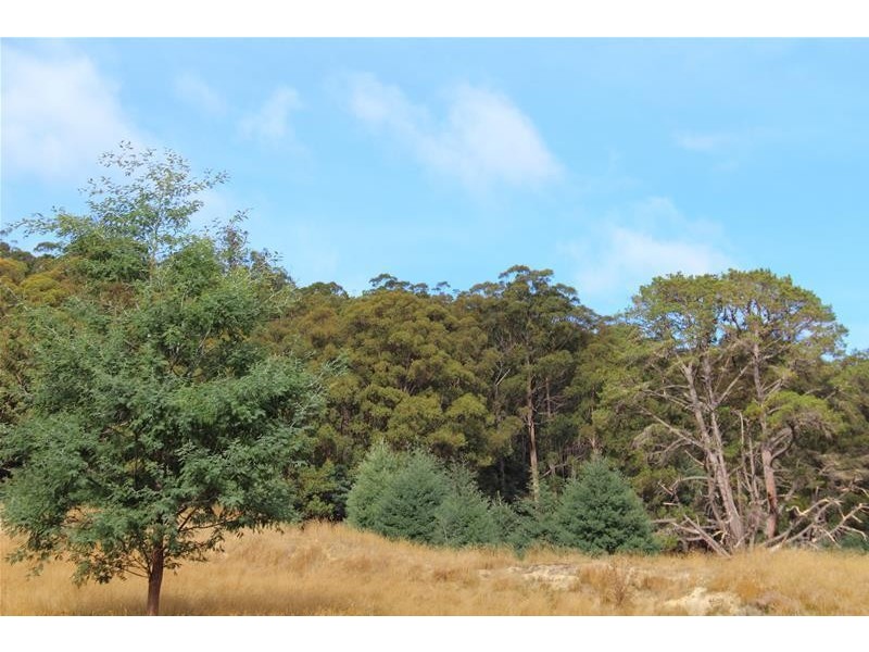 54 Tunbridge Road, Glen Huon TAS 7109