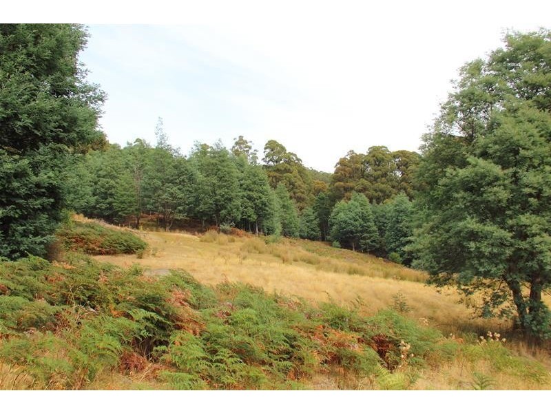 54 Tunbridge Road, Glen Huon TAS 7109