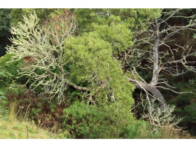 54 Tunbridge Road, Glen Huon TAS 7109