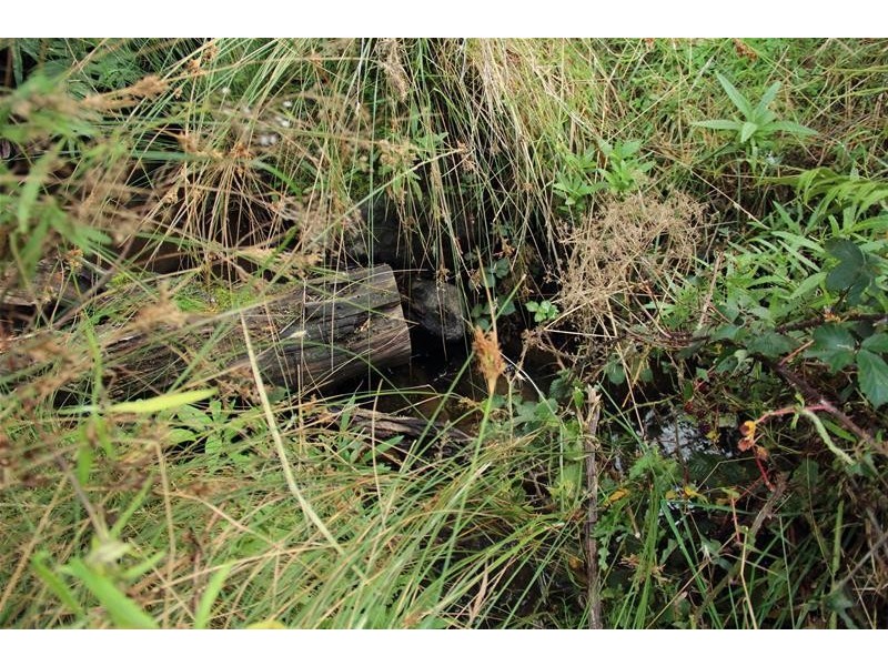 54 Tunbridge Road, Glen Huon TAS 7109