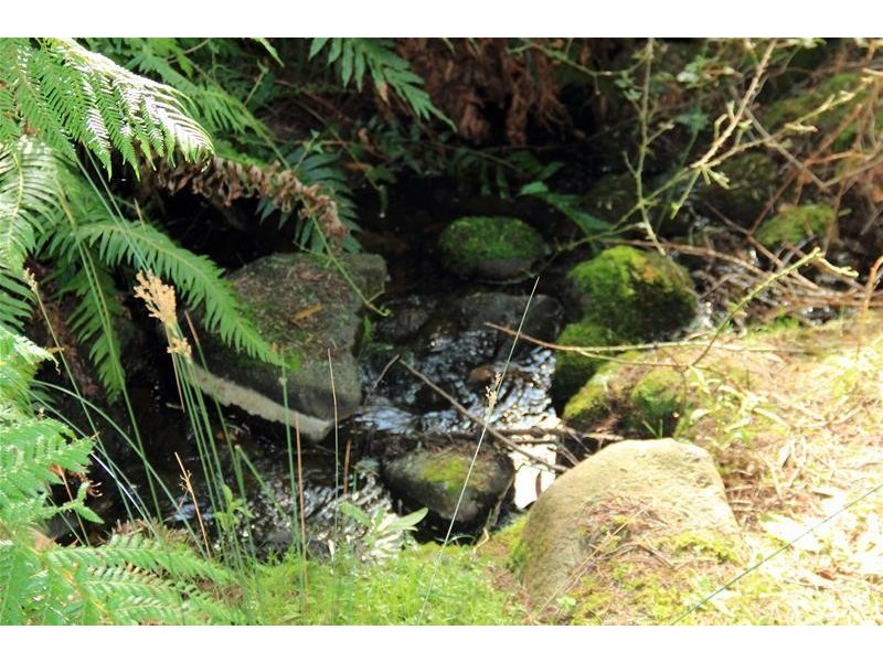 54 Tunbridge Road, Glen Huon TAS 7109