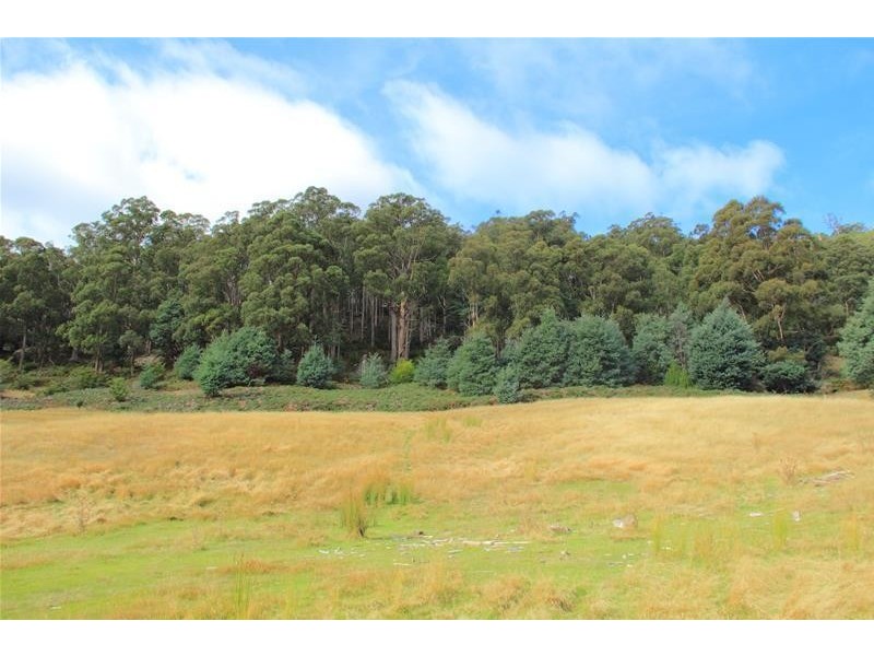 54 Tunbridge Road, Glen Huon TAS 7109