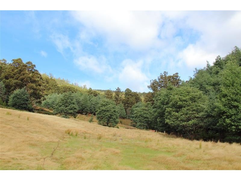 54 Tunbridge Road, Glen Huon TAS 7109