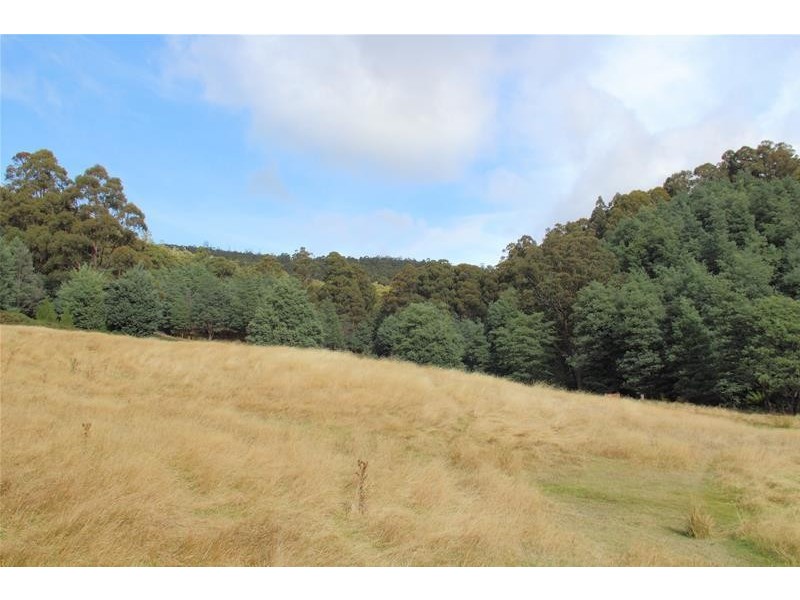 54 Tunbridge Road, Glen Huon TAS 7109