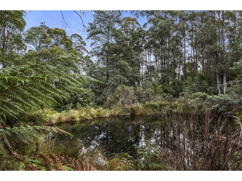 302 Cowens Road, Gardners Bay TAS 7112