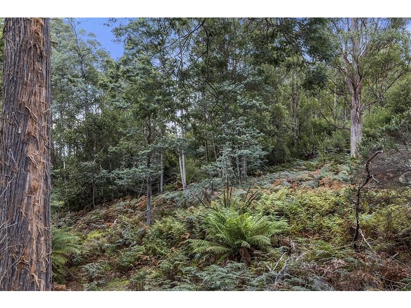 302 Cowens Road, Gardners Bay TAS 7112