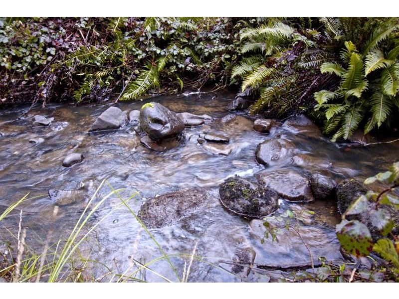 328 Bakers Creek Road, Lucaston TAS 7109