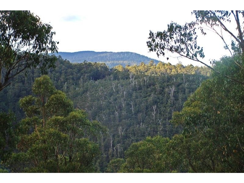 328 Bakers Creek Road, Lucaston TAS 7109