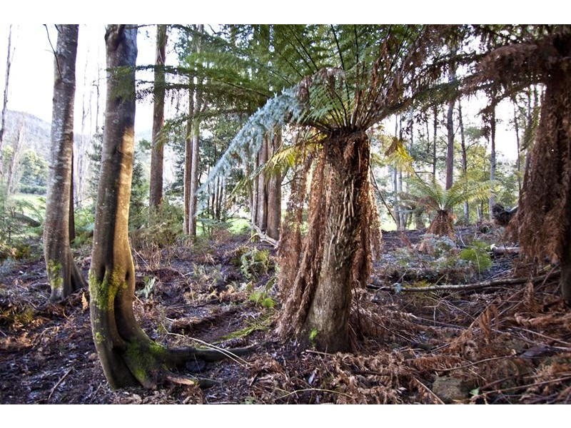 328 Bakers Creek Road, Lucaston TAS 7109