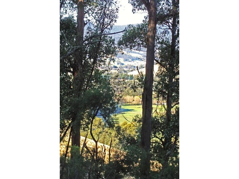 328 Bakers Creek Road, Lucaston TAS 7109