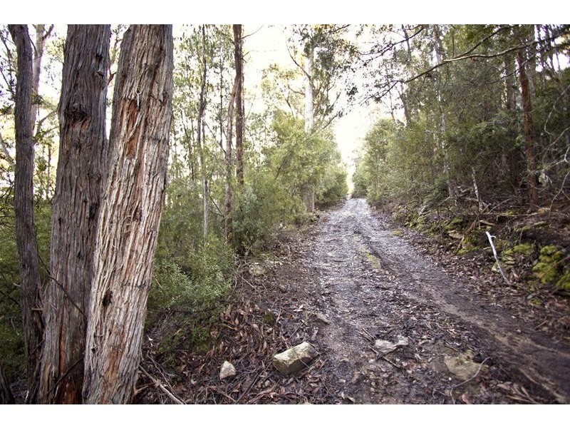 328 Bakers Creek Road, Lucaston TAS 7109