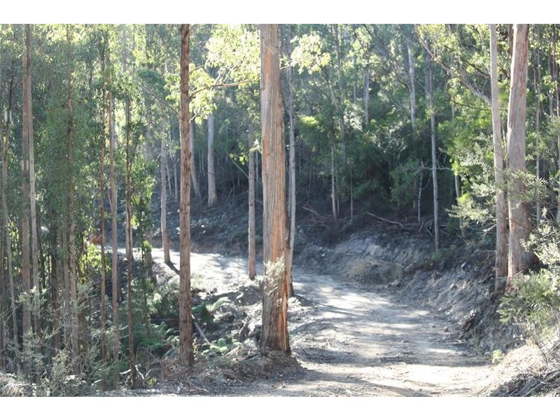 105498/2 Off Bakers Creek Road, Lucaston TAS 7109