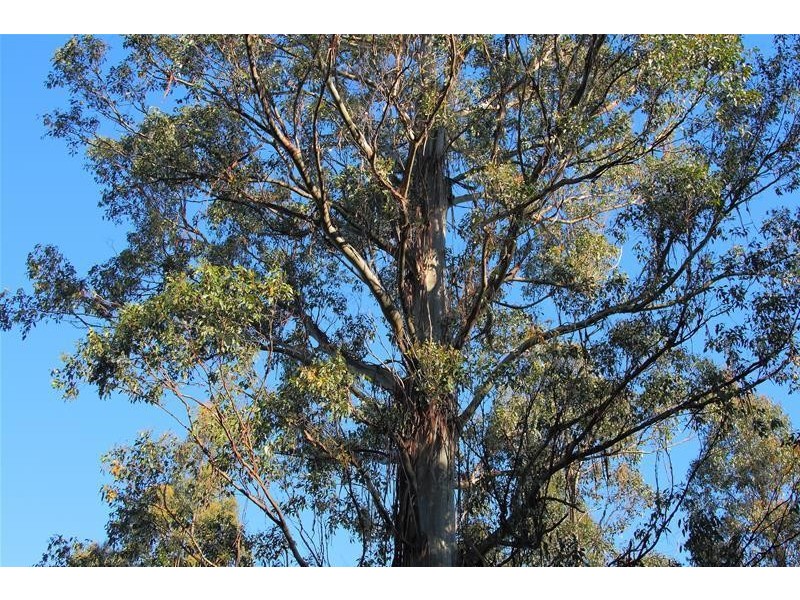 105498/2 Off Bakers Creek Road, Lucaston TAS 7109