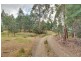 494 Tobys Hill Road, Cygnet TAS 7112