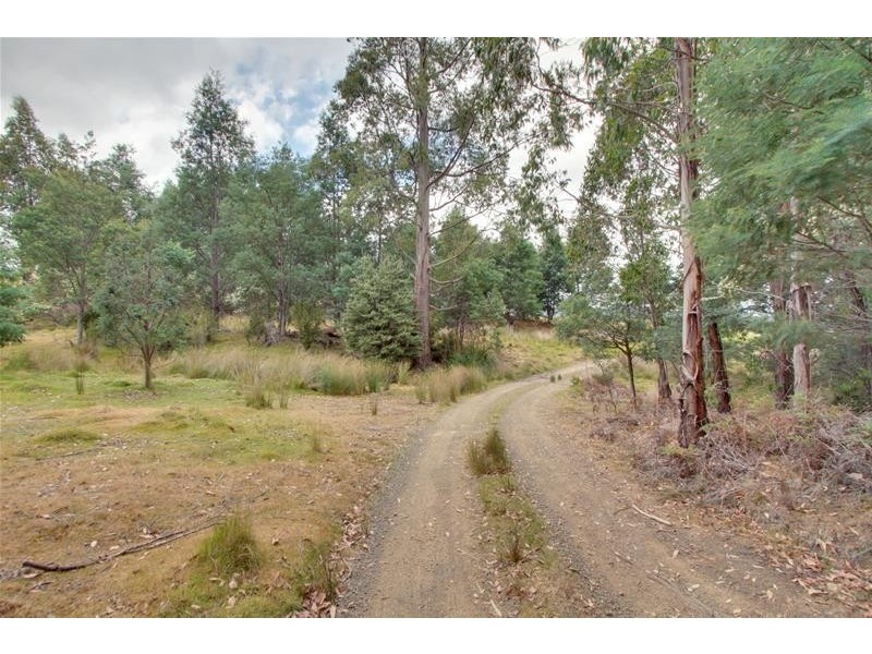 494 Tobys Hill Road, Cygnet TAS 7112