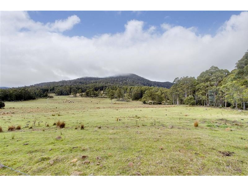 77 Vinces Saddle Road, Sandfly TAS 7150