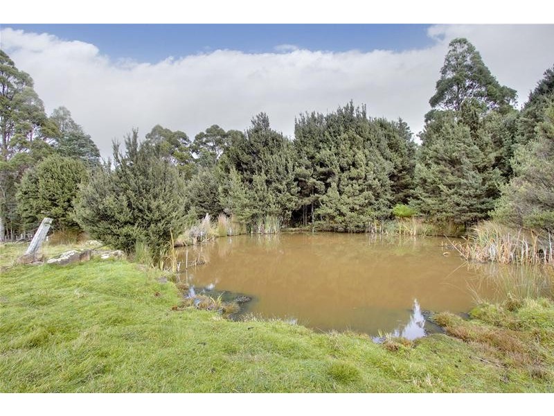 77 Vinces Saddle Road, Sandfly TAS 7150