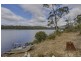 243 Tongue Road, Hastings TAS 7109