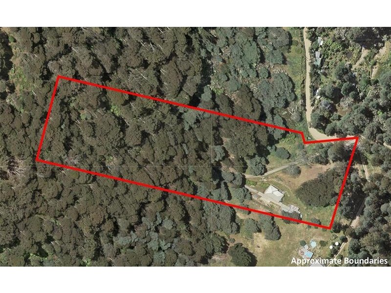 39 Andersons Road, Lower Longley TAS 7109