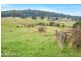 Lot 2 Huon Highway, Geeveston TAS 7116
