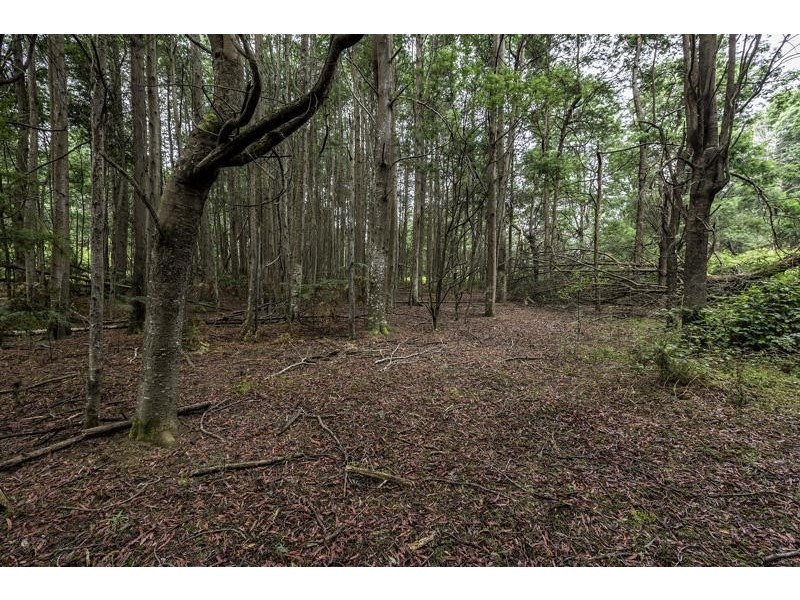 3 Batchelors Road, Nicholls Rivulet TAS 7112