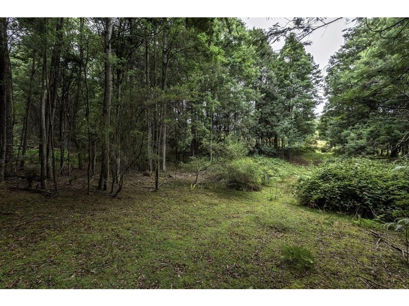 3 Batchelors Road, Nicholls Rivulet TAS 7112