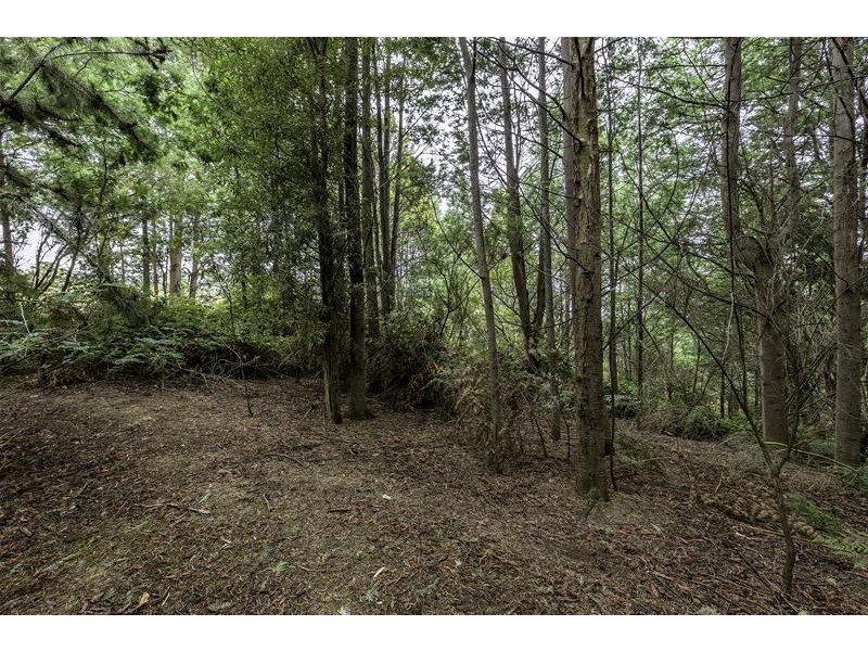 3 Batchelors Road, Nicholls Rivulet TAS 7112