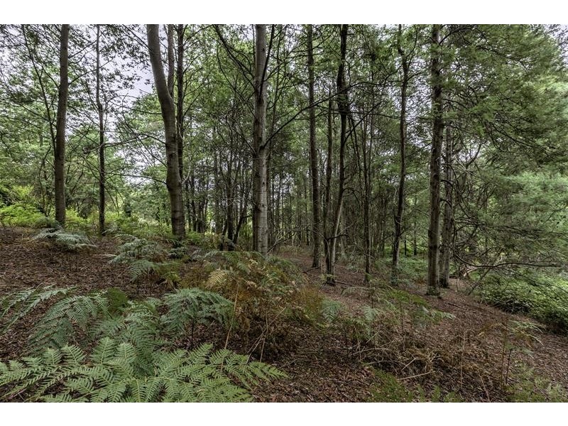 3 Batchelors Road, Nicholls Rivulet TAS 7112