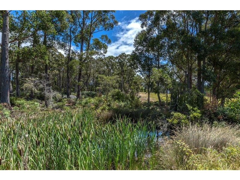 1894 Cygnet Coast Road, Cradoc TAS 7109