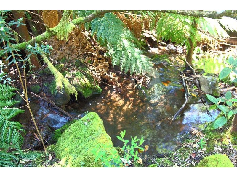 800 Crabtree Road, Crabtree TAS 7109