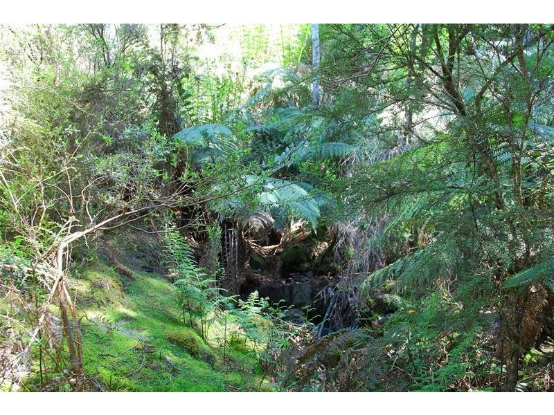 800 Crabtree Road, Crabtree TAS 7109