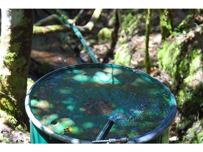 800 Crabtree Road, Crabtree TAS 7109