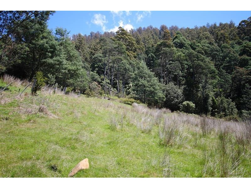 800 Crabtree Road, Crabtree TAS 7109