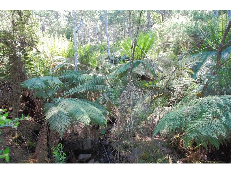 800 Crabtree Road, Crabtree TAS 7109