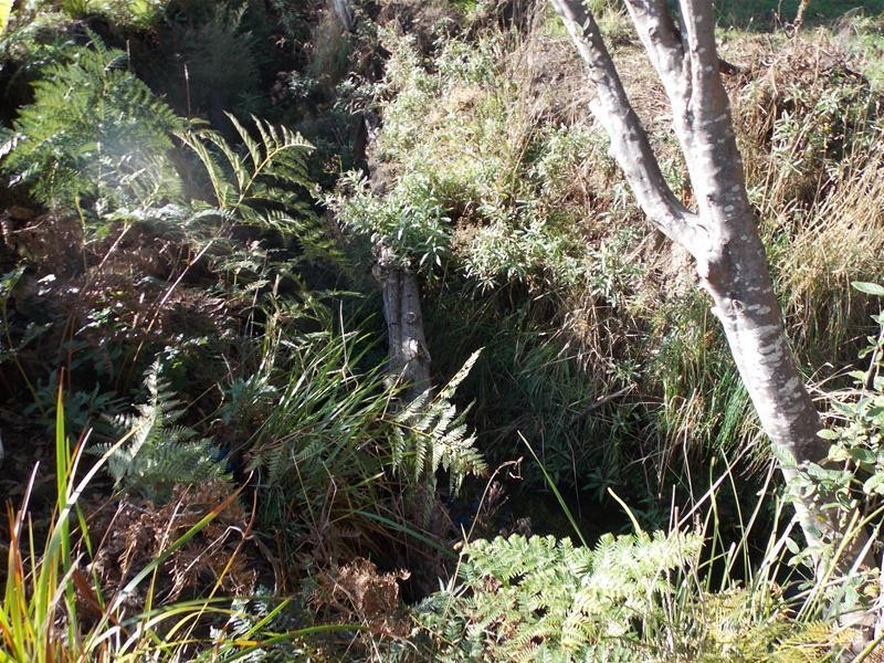 Lot 2 off Glenbervie Road, Dover TAS 7117