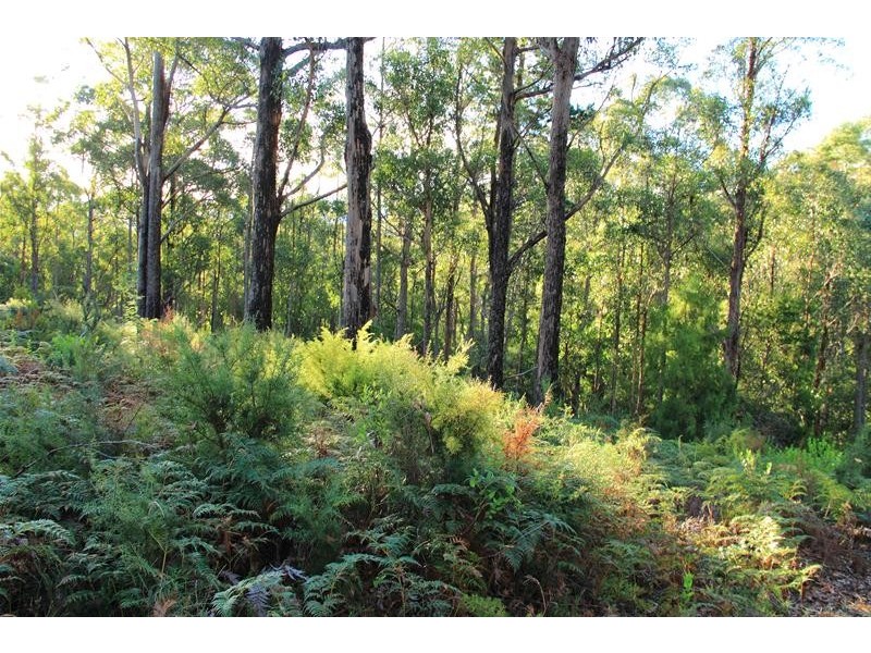 125 Brittains Road, Garden Island Creek TAS 7112