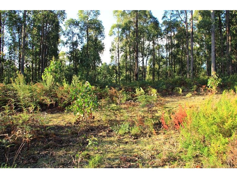 125 Brittains Road, Garden Island Creek TAS 7112