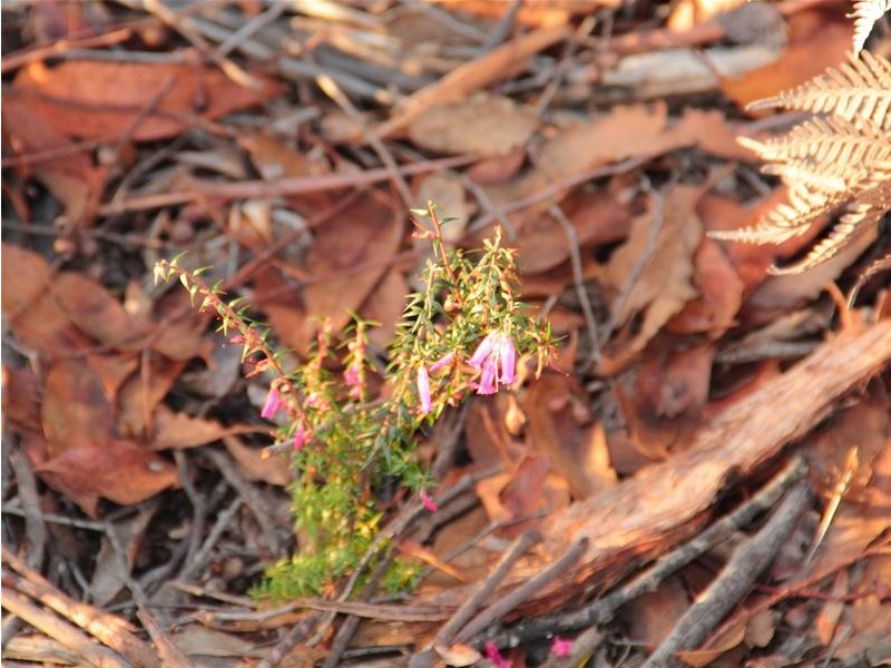 125 Brittains Road, Garden Island Creek TAS 7112