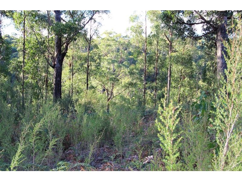 125 Brittains Road, Garden Island Creek TAS 7112