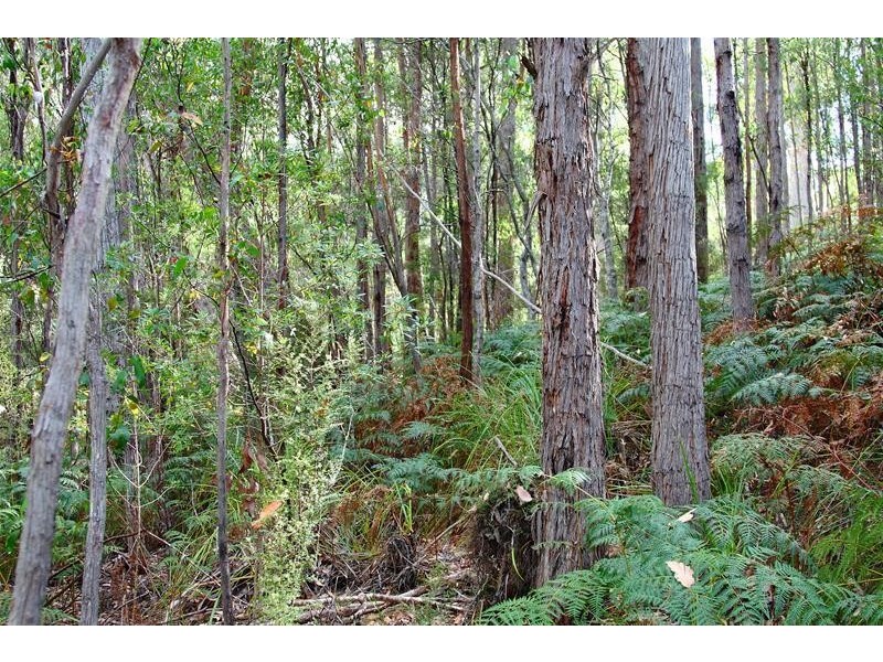 1 Hastings Bay Esplanade, Hastings TAS 7109