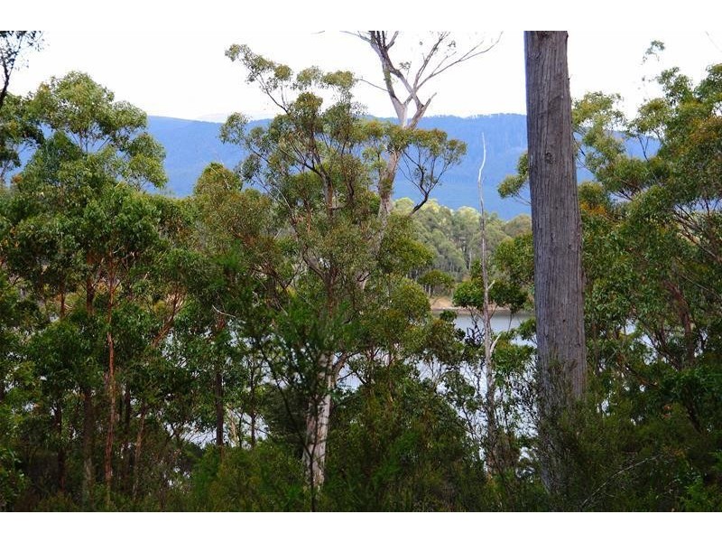 1 Hastings Bay Esplanade, Hastings TAS 7109