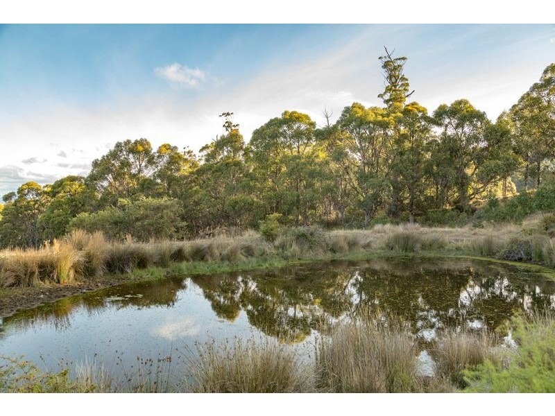 142284/8 Scenic Hill Road, Huonville TAS 7109