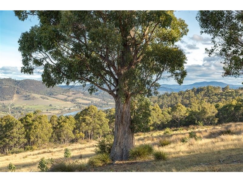 142284/8 Scenic Hill Road, Huonville TAS 7109